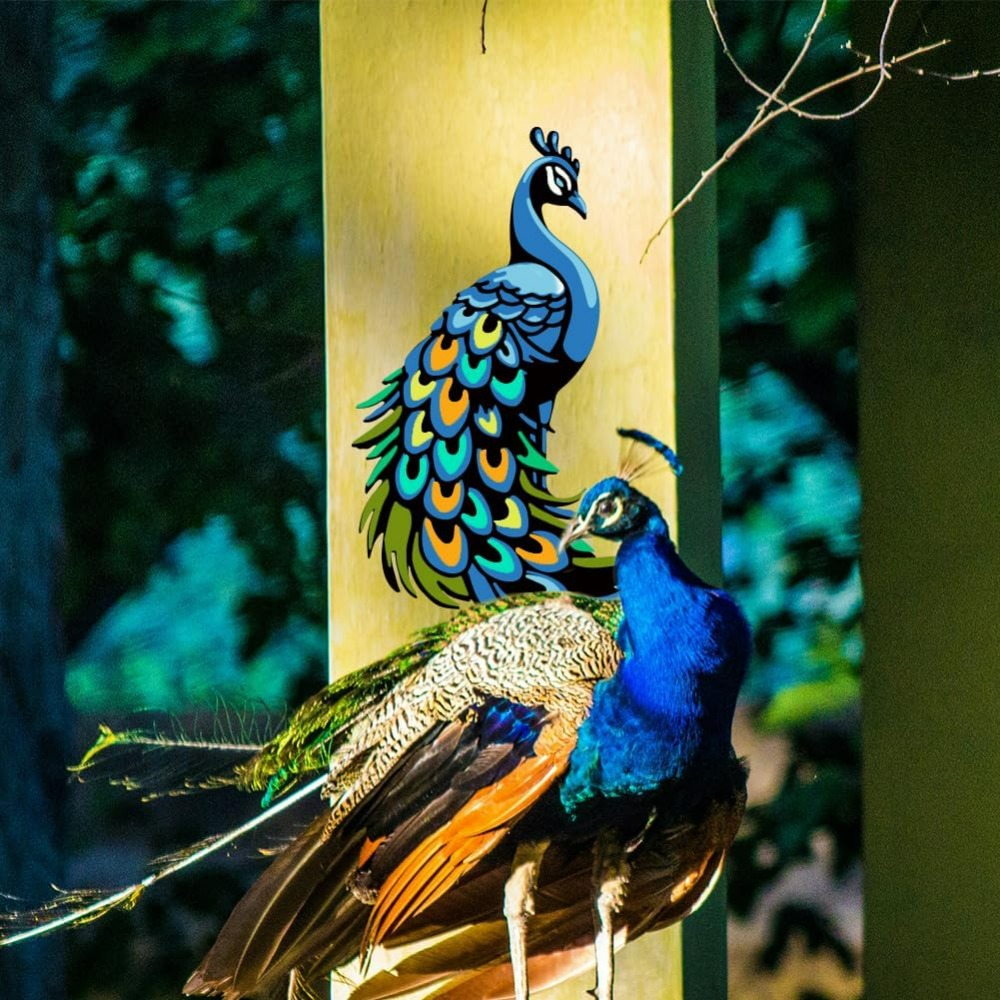3 Adet Katmanlı Tavuskuşu Şabl - Paint Brush incelemesi ve fiyatı
